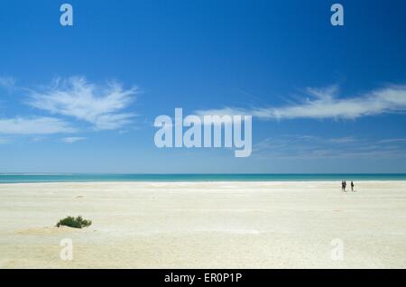 L'Australie, l'ouest de l'Australie, la baie Shark, Haridon Bight, Shell Beach, plage composé uniquement de petits coquillages Fragum // erugatum Aust Banque D'Images