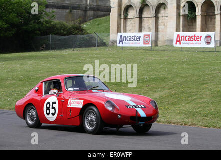 Les participants à la course du moteur à l'événement sprint Motorsport au Palace dans le sud de Londres 24.05.2015 Banque D'Images