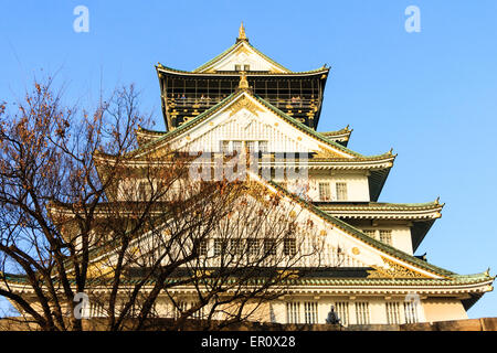 Château d'Osaka. Close up shot téléobjectif de la partie supérieure du tenshu, donjon, contre l'arrière-plan d'un ciel bleu clair. Watch Tower sur haut de conserver. Banque D'Images