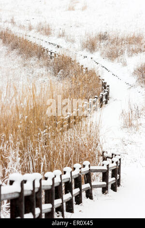 Piste de montagne et clôture menant à la haute herbe dorée en hiver après une forte chute de neige. Clôture en bois recouverte de neige. Soni, Japon. Banque D'Images