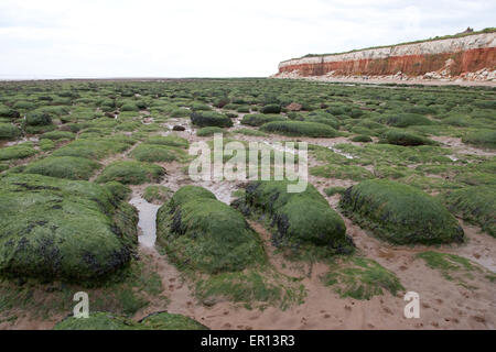 La plage de Hunstanton, Norfolk à marée basse l'exposition de gros rochers Banque D'Images