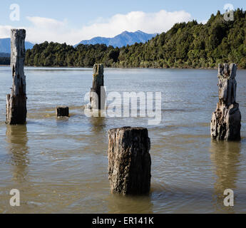 Par la mer des piles d'une ancienne jetée à Okarito Lagoon dans le sud de l'île de la Nouvelle-Zélande à la recherche vers l'Alpes Suthern Banque D'Images