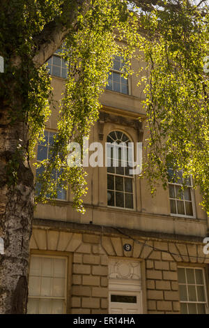 Un bâtiment de la Grand Rue Pultney derrière lumière dorée à travers un bouleau verruqueux de feuilles d'arbres, la ville de Bath, Royaume-Uni Banque D'Images