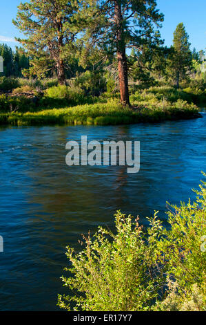 Columbia Wild and Scenic River à partir de la rivière Deschutes Deschutes, Sentier National Forest, Virginia Banque D'Images