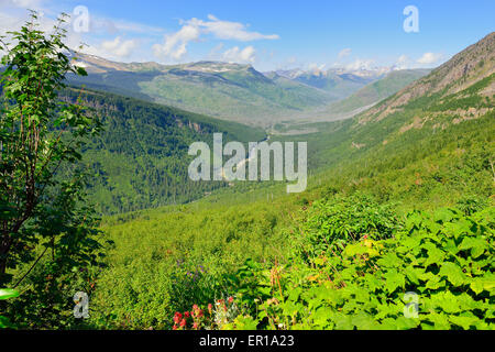 Le Glacier National Park, Montana Paysage en été Banque D'Images