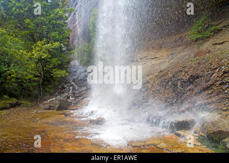 Branigan Falls at Waterfall Valley, le long de la voie terrestre de la Tasmanie Banque D'Images