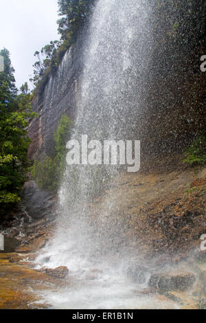 Branigan Falls at Waterfall Valley, le long de la voie terrestre de la Tasmanie Banque D'Images