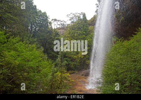 Branigan Falls at Waterfall Valley, le long de la voie terrestre de la Tasmanie Banque D'Images