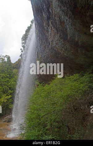 Branigan Falls at Waterfall Valley, le long de la voie terrestre de la Tasmanie Banque D'Images