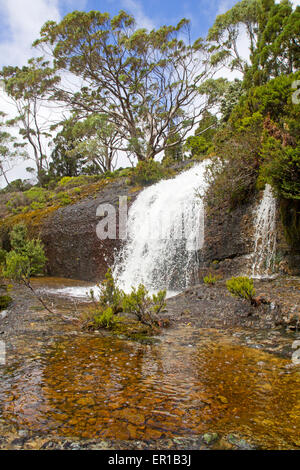 La vallée de la cascade le long de la voie terrestre de la Tasmanie Banque D'Images