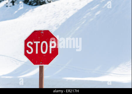 Stop rouge contre une banque de neige dans les montagnes avec des arbres verts derrière - paysage Banque D'Images