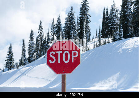Stop rouge contre une banque de neige dans les montagnes avec des arbres verts derrière - paysage Banque D'Images