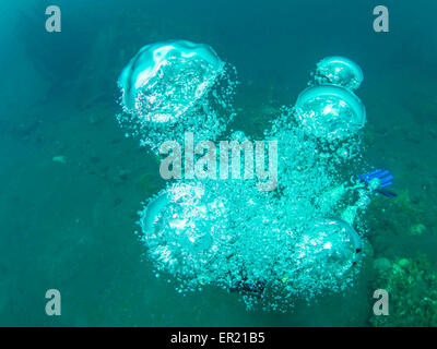 Un plongeur de bulles remontent à la surface, d'expansion et de briser de nouveau. Photo prise lors d'une plongée à Bali, Indonésie Banque D'Images