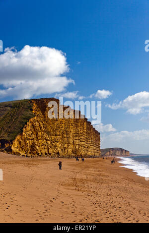 Les promeneurs sur la plage ci-dessous les couches de grès bagués distinctif falaise est sur la côte jurassique, Dorset, England, UK