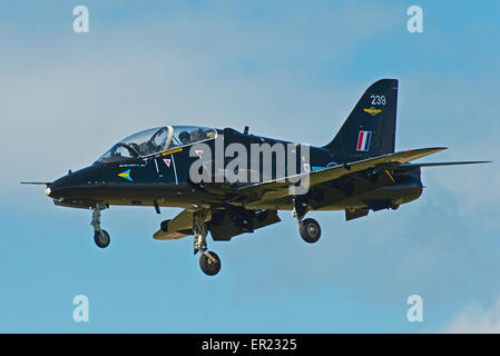 XX239 T1 Hawk avion à réaction rapide de la brume sèche RAF Valley Anglesey au nord du Pays de Galles UK Banque D'Images