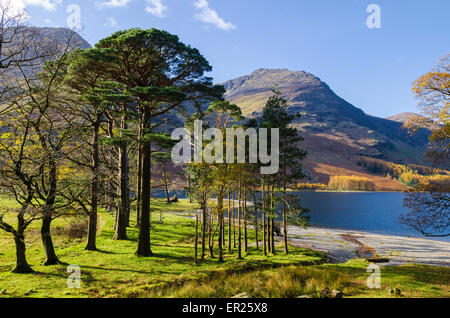 La côte est du sud de Buttermere lake, Lake District. Cumbria, Angleterre Banque D'Images