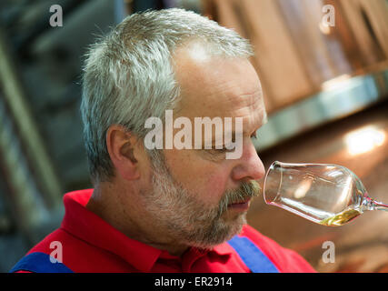 Klipphausen, Allemagne. 19 mai, 2015. Maître distillateur Siegbert Henning sent le whisky de Saxon 2002 à la distillerie de Meissen 'Prinz zur Lippe' (lit. Prince de Lippe) à Klipphausen, Allemagne, 19 mai 2015. Le vignoble Schloss Proschwitz (lit. Le Château de Proschwitz) a été également produire des spiritueux depuis 1998. L'un de ses produits est le premier whisky de l'état allemand de Basse-Saxe. Photo : Arno Burgi/dpa/Alamy Live News Banque D'Images