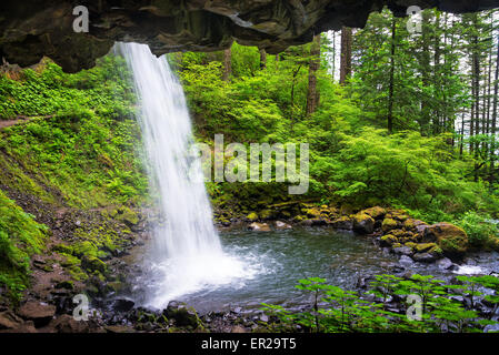 Vue de derrière de prêle tombe dans la gorge du Columbia dans l'Oregon Banque D'Images