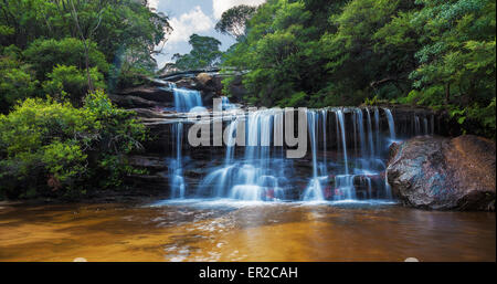 Wentworth falls, Blue Mountains, en partie supérieure de l'Australie. Banque D'Images