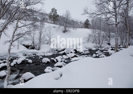 Flux de la rivière et de la neige en Vengedalen, Rauma kommune, Møre og Romsdal (Norvège). Banque D'Images