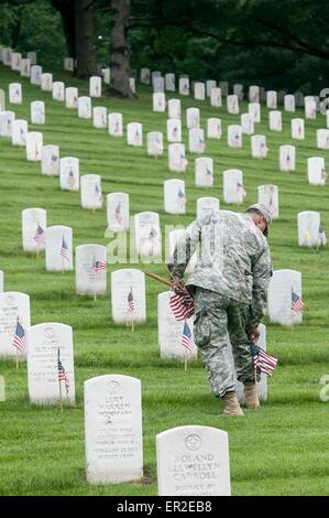 Un soldat de l'Armée américaine à partir de la vieille garde places drapeaux devant des lieux de sépulture en l'honneur du Jour du Souvenir au Cimetière National d'Arlington, le 21 mai 2015 à Arlington, en Virginie. La vieille garde a mené dans des pavillons, quand un drapeau américain est placé à chaque pierre tombale, depuis 1948. Banque D'Images