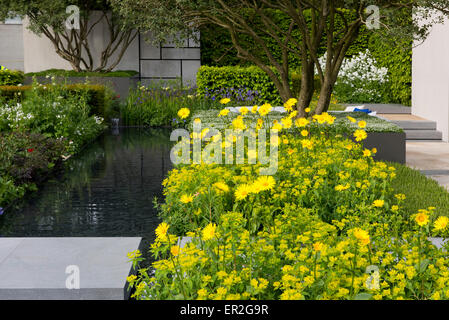 Le Telegraph jardin conçu par Marcus Barnett et médaillé d'or au Chelsea Flower Show, London, UK 2015 Banque D'Images