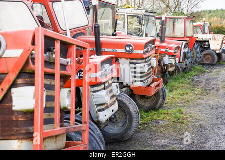 Nombre de vieux tracteurs Massey Ferguson dans une ferme Banque D'Images