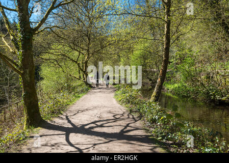 Deux personnes promènent leurs chiens à Etherow country park, Stockport, Angleterre, sur une journée de printemps ensoleillée. Banque D'Images