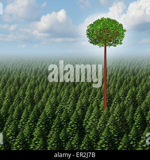 Se démarquer de la foule, une forêt de conifères avec une feuille d'arbre au-dessus de la concurrence la plus élevée. Banque D'Images