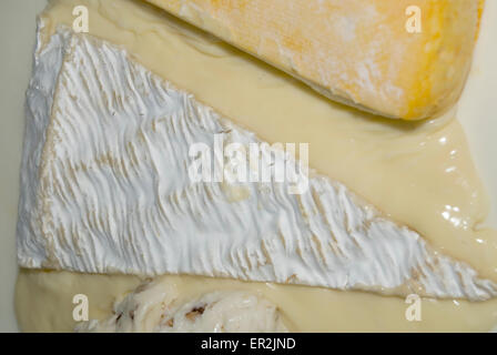 Ripe Brie de Meaux sur Roblichon et fromages de chèvre Banque D'Images
