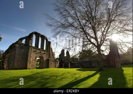 Fountains Abbey, l'un des plus importants monastères cisterciens en ruine en Angleterre, Site du patrimoine mondial, Ripon North Yorkshire UK GO Banque D'Images