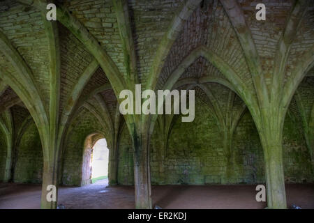 Fountains Abbey, l'un des plus importants monastères cisterciens en ruine en Angleterre, Site du patrimoine mondial, Ripon North Yorkshire UK GO Banque D'Images