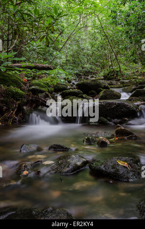Un ruisseau juste à côté de l'Appalachian Trail dans le Nord de la Géorgie Banque D'Images