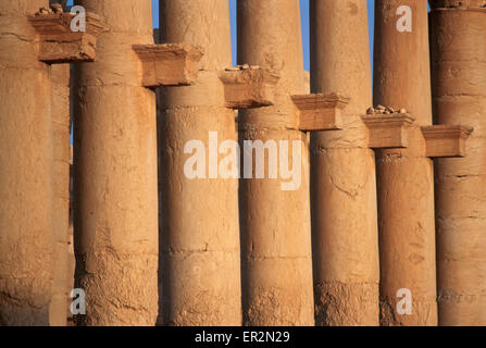 Libre de la Grande Colonnade, Palmyra, Syrie. Banque D'Images