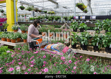 Shopping pour les plantes dans un centre jardin serre. Parution du modèle. Banque D'Images