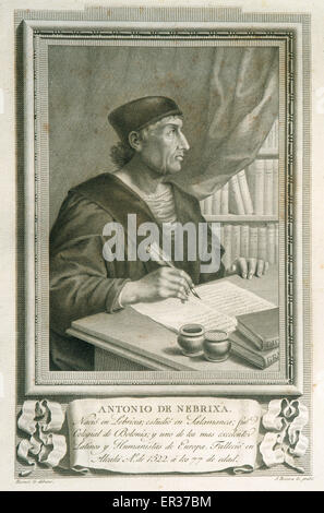 Antonio de Nebrija (1441-1522). Érudit espagnol, historien, professeur et poète. La gravure. Banque D'Images