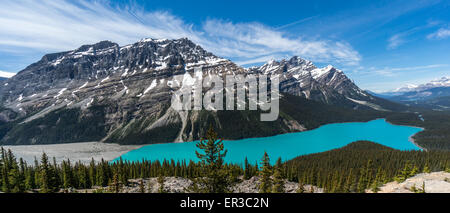 Le lac Peyto, Banff National Park, Alberta, Canada Banque D'Images