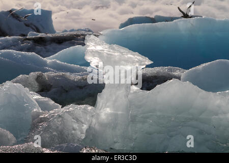 Gros plan des icebergs, Jokulsarlon, parc national du glacier Vatnajokull, Austurland, Islande Banque D'Images