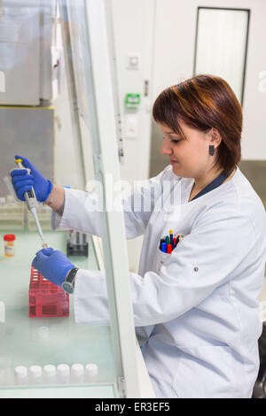 L'analyse du plomb dans le sang (saturnisme). Laboratoire de Toxicologie Analytique de l'environnement et de la santé, biologie et Centre de recherche (CBRS) hôpital de Limoges, France. Banque D'Images