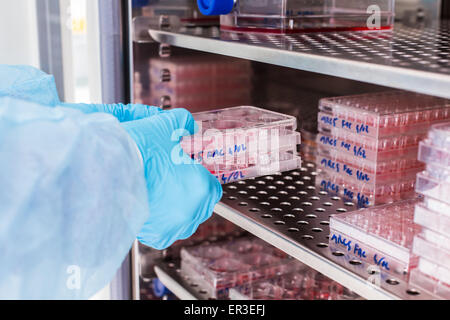 Les cultures de cellules en milieu liquide, biologie et Centre de recherche. Banque D'Images