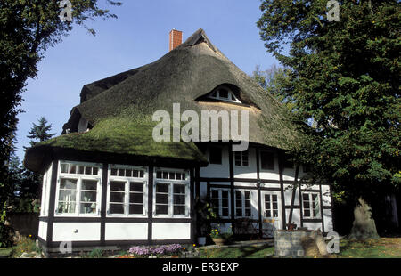 DEU, Germany, Ahrenshoop-Niehagen sur la mer Baltique, 200 cents ans maison bois wit Banque D'Images