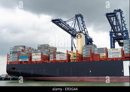 Oscar MSC est le plus grand porte-conteneurs d'une longueur de 396 mètres et un tonnage de plus de 190 000. Il peut transporter 19 224 Banque D'Images