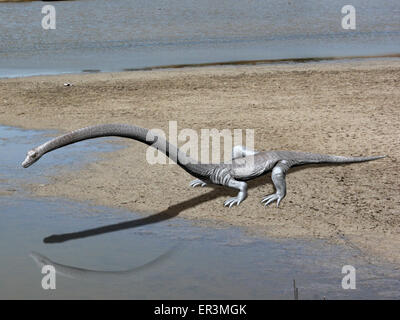 Tanystropheus est un archosauromorph du Trias moyen de l'Italie. Banque D'Images