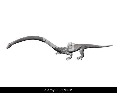 Tanystropheus est un archosauromorph du Trias moyen de l'Italie. Banque D'Images