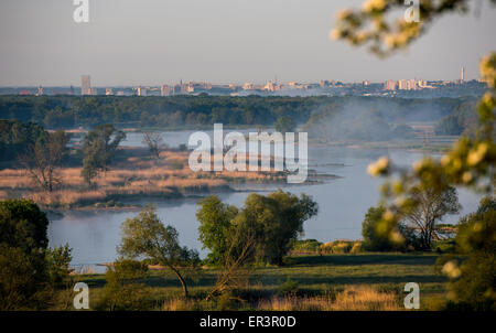 Lebus, Allemagne. 22 mai, 2015. Vue sur le fleuve Oder vers Francfort dans Lebus, Allemagne, 22 mai 2015. Photo : Patrick Pleul/dpa/Alamy Live News Banque D'Images