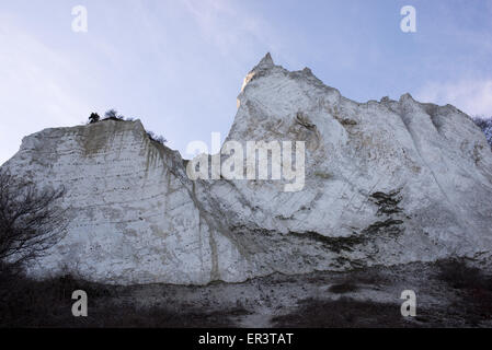 Mons Klint au Danemark au printemps vu de dessous avec ciel bleu Banque D'Images