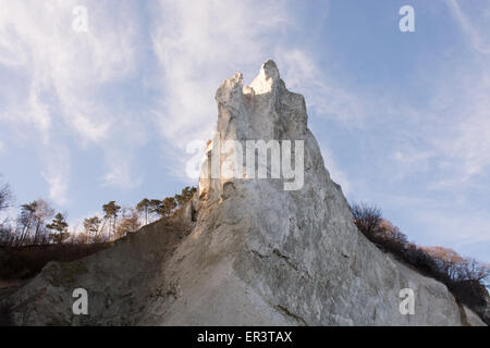 Mons Klint au Danemark au printemps vu de dessous avec ciel bleu Banque D'Images