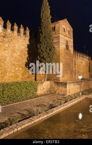 Vieux murs de nuit , cordoba, Andalousie, Espagne, Europe Banque D'Images