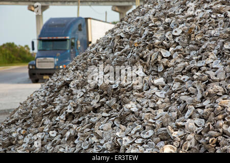 Apalachicola, Florida - Huîtres en dehors d'une usine de traitement de l'huître sur la baie d'Apalachicola. Banque D'Images