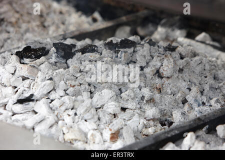 Le charbon de bois blanc tournant jusqu'à la température sur un barbecue commerciale Banque D'Images